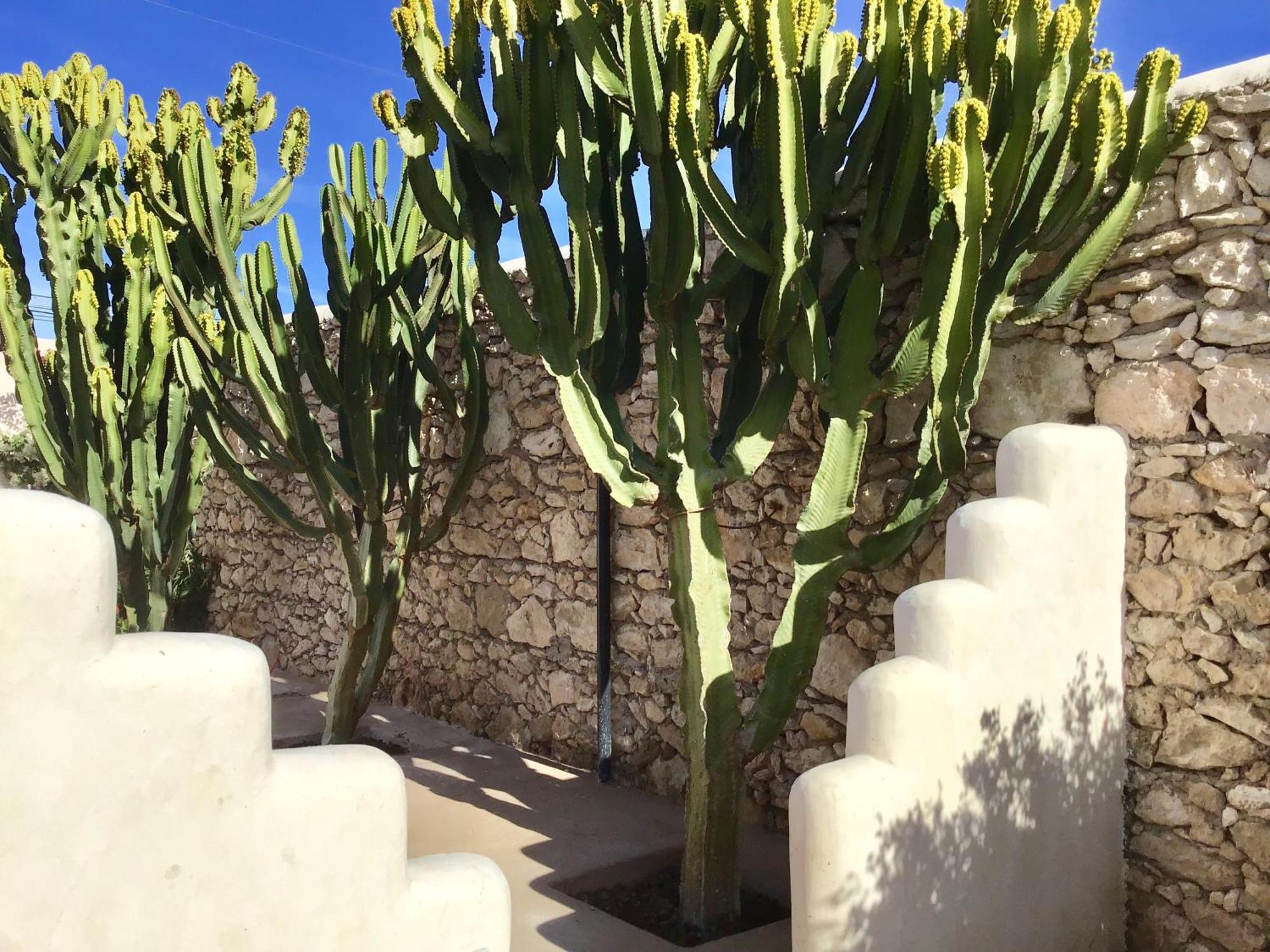 Dar Alya Essaouira Maison Et Table D'Hotes เอล กาห์ซัวเน ภายนอก รูปภาพ
