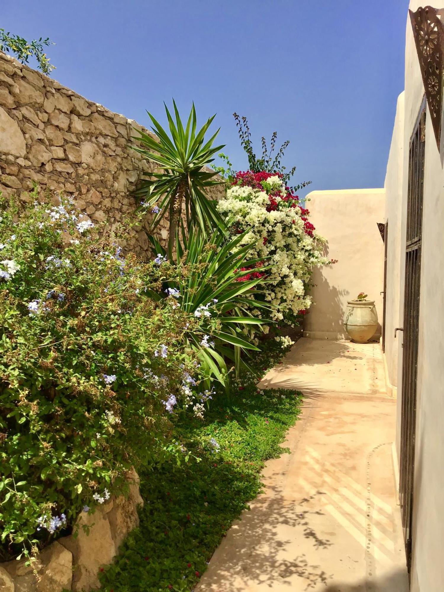 Dar Alya Essaouira Maison Et Table D'Hotes เอล กาห์ซัวเน ภายนอก รูปภาพ