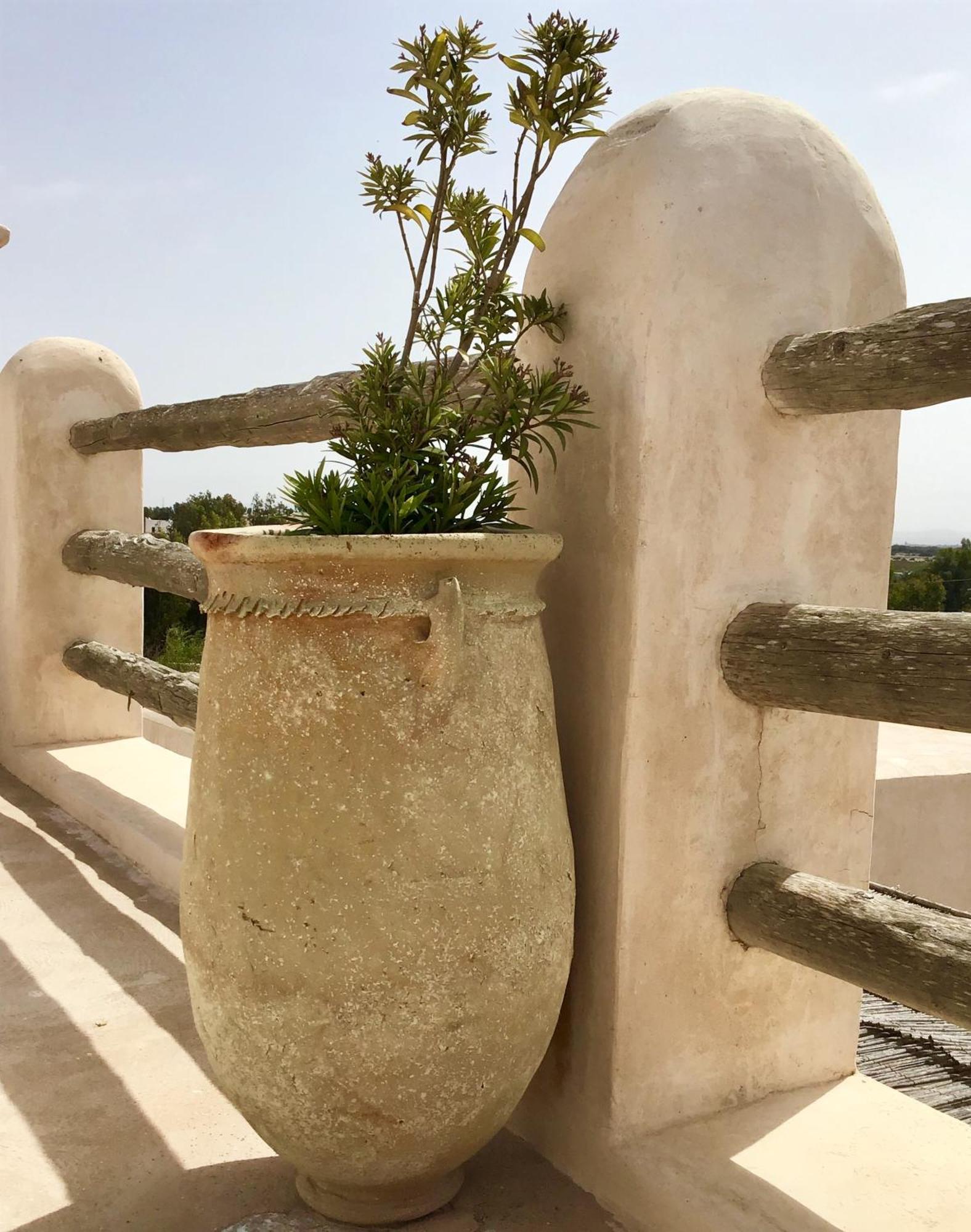 Dar Alya Essaouira Maison Et Table D'Hotes เอล กาห์ซัวเน ภายนอก รูปภาพ